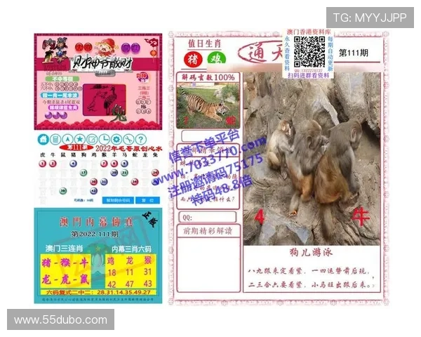 探索澳门彩网的魅力与投注技巧